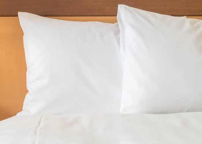 هوليداي إن إكسبرس ميسي فندق