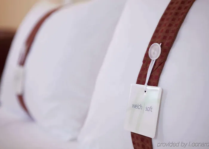 هوليداي إن إكسبرس ميسي فندق فرانكفورت